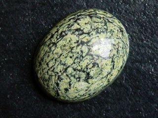 Nephrit Jade in Serpentinit 31,45 Ct. Cabochon Kanada