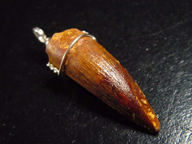 Spinosaurus tooth pendant 925 silver - 5,0 cm - Spinosaur Dinosaur