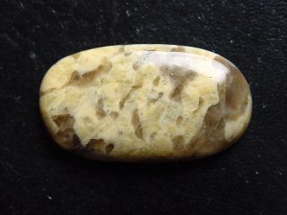 Serpentinit 39,60 Ct. Oval Cabochon