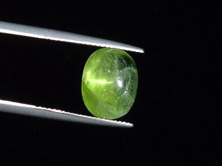 Peridot cat's eye 7,07 Ct. - apple green - oval cabochon