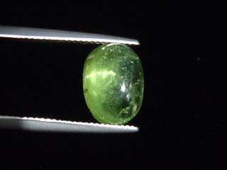 Peridot cat's eye 6,36 Ct. - apple green - oval cabochon