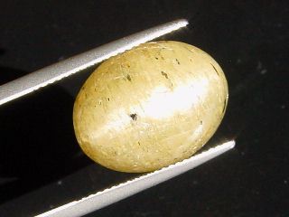 Apatite Catseye 16,40 Ct. - oval cabochon - Brazil