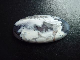 Dendritic Opal 58,15 Ct. oval cabochon India