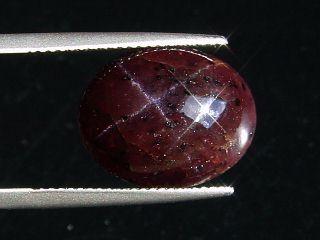 Sterngranat 16,92 Ct. 4-strahliger Stern Cabochon Indien