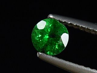 Tsavorite Garnet 0,54 Ct. fine color round