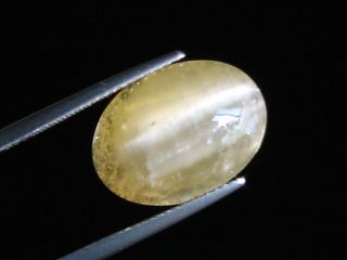 Danburite cat's eye 10,70 Ct. yellow - Morogoro, Tanzania