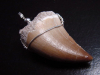 Mosasaur tooth pendant 925 silver - 5,3 cm - Mosasaurus Dinosaur