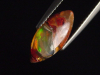 Feueropal 1,63 Ct. mit Farbenspiel Navette Cabochon