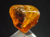 Amber specimen polished 31 mm Poland