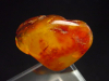 Amber specimen polished 30 mm Poland
