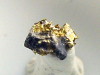 Gold crystalline 4 mm - Brusson, Val d'Aosta, Italy